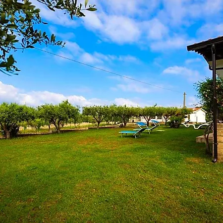 Neverland 4* Ricadi